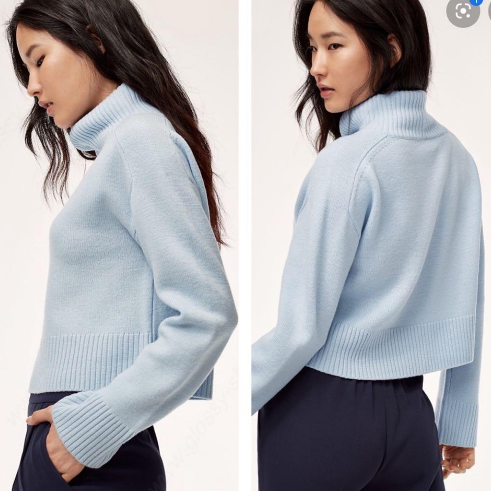 Aritzia Babaton Titus Sweater